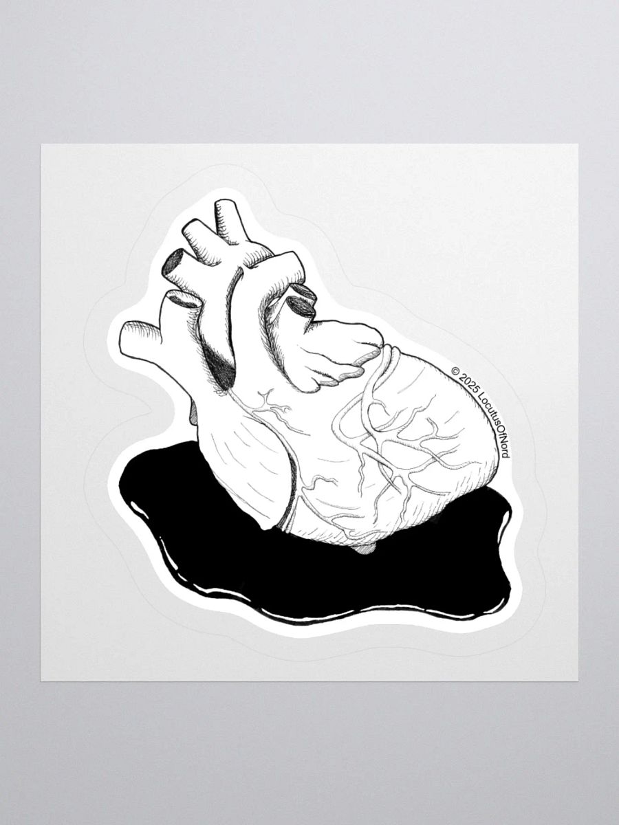 Anatomical Heart product image (2)