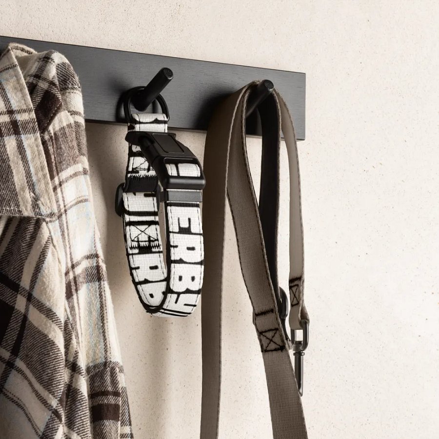 ERBY DOG COLLAR product image (1)
