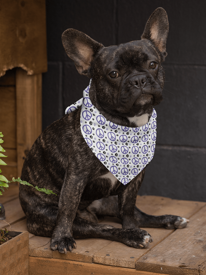 MasterPeace Bandana product image (1)