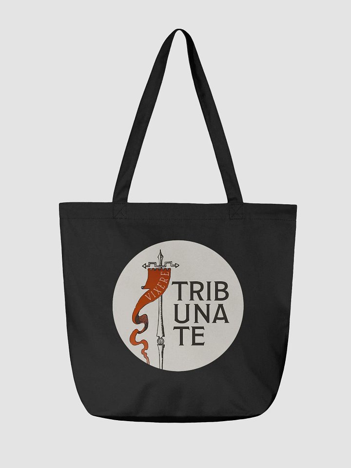 Tote bag product image (3)