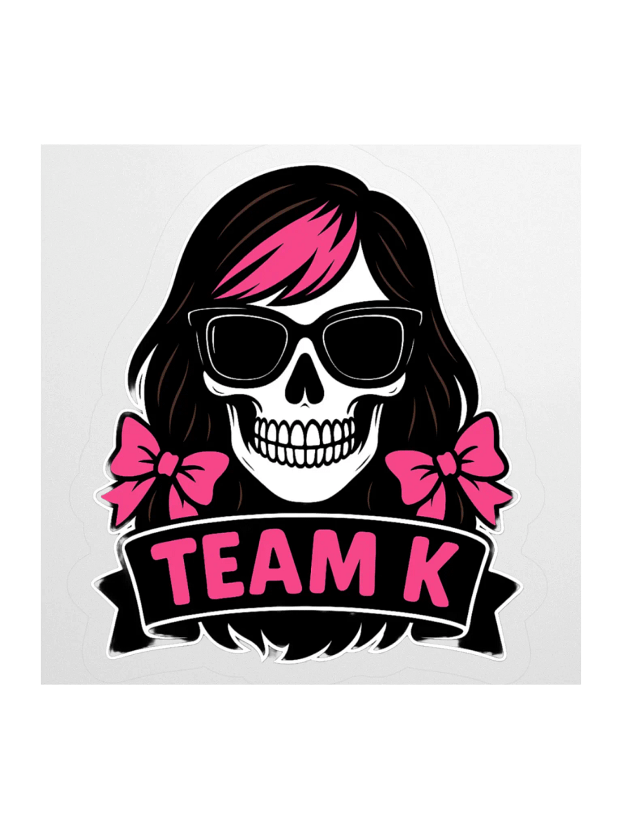 TEAM K (V-6) STICKERS product image (2)