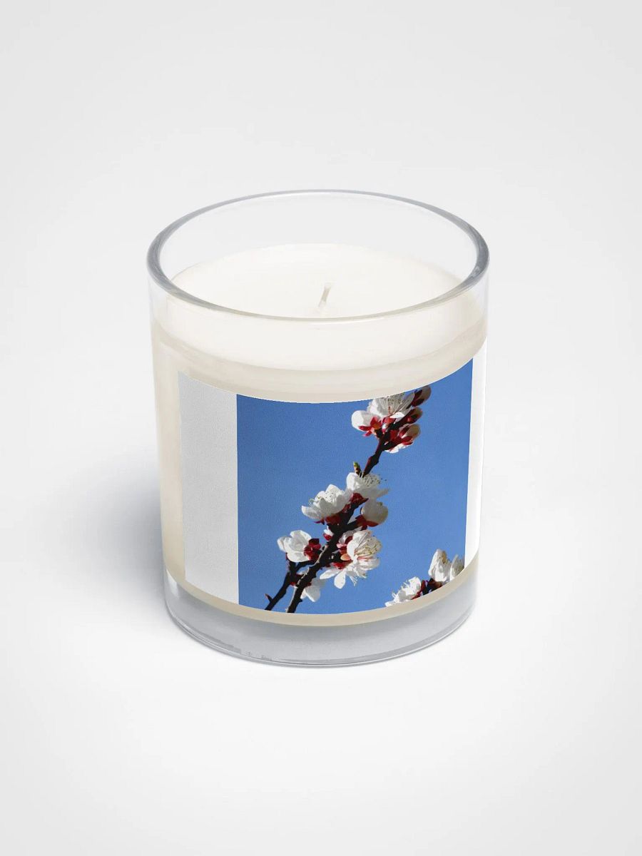 Apricot Blossoms by Candle Light product image (2)