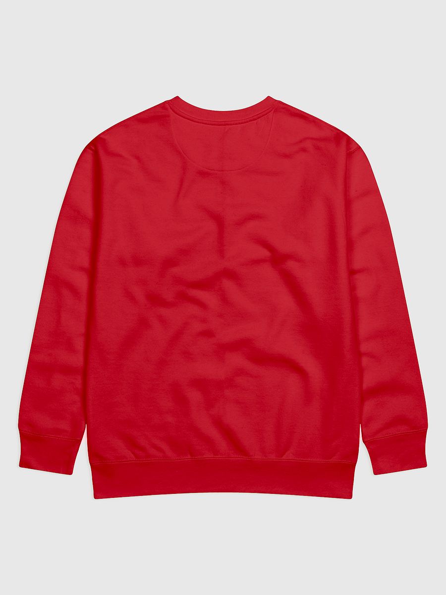 Holiday Sweater Feat Swift, Ders, & Coots product image (2)