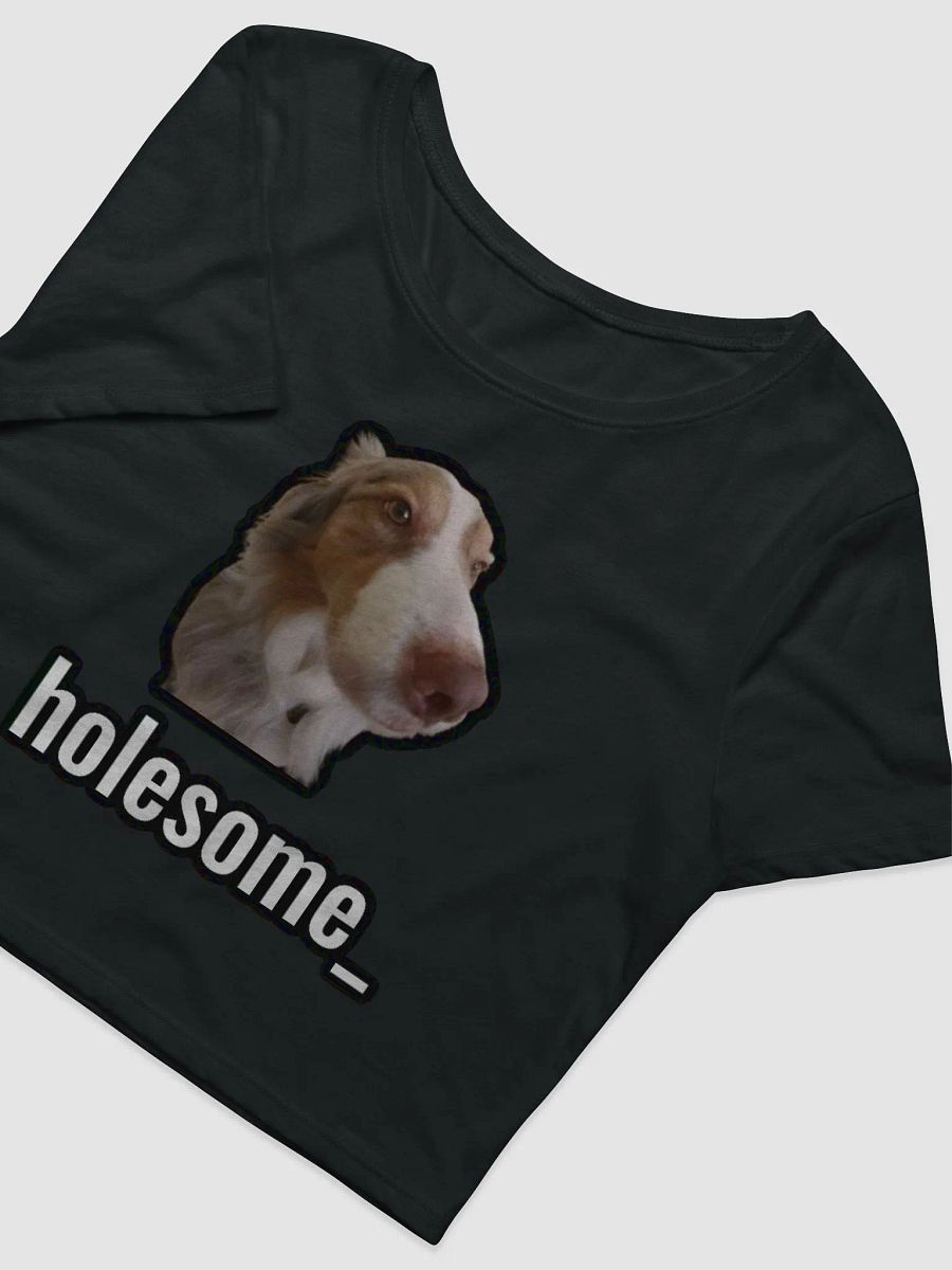 holesome Biggie crop top product image (7)