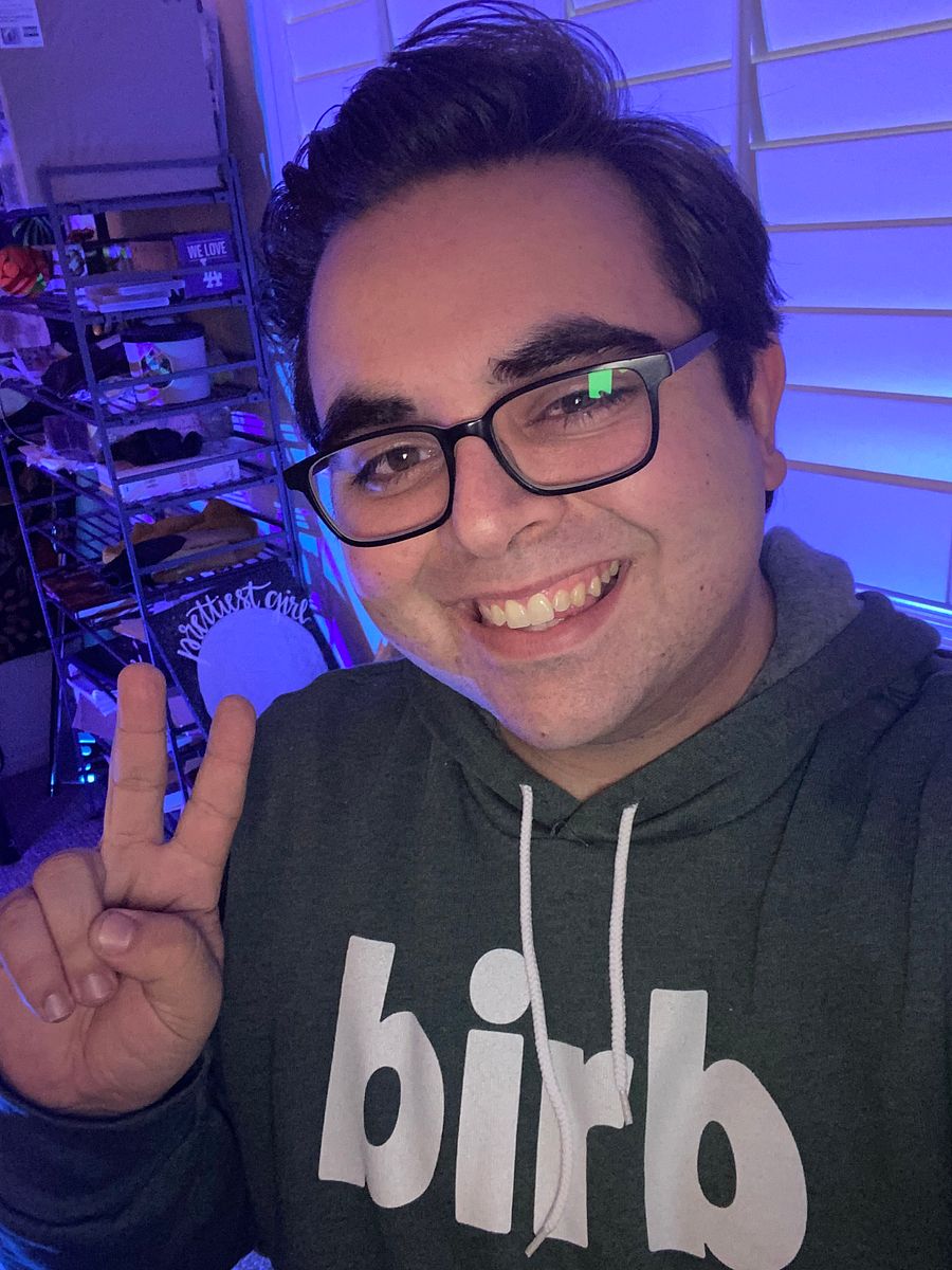birb hoodie product image (10)