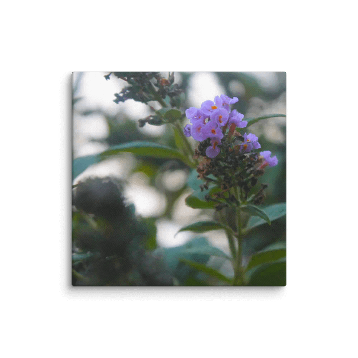 A Study in Flowers 5 product image (39)