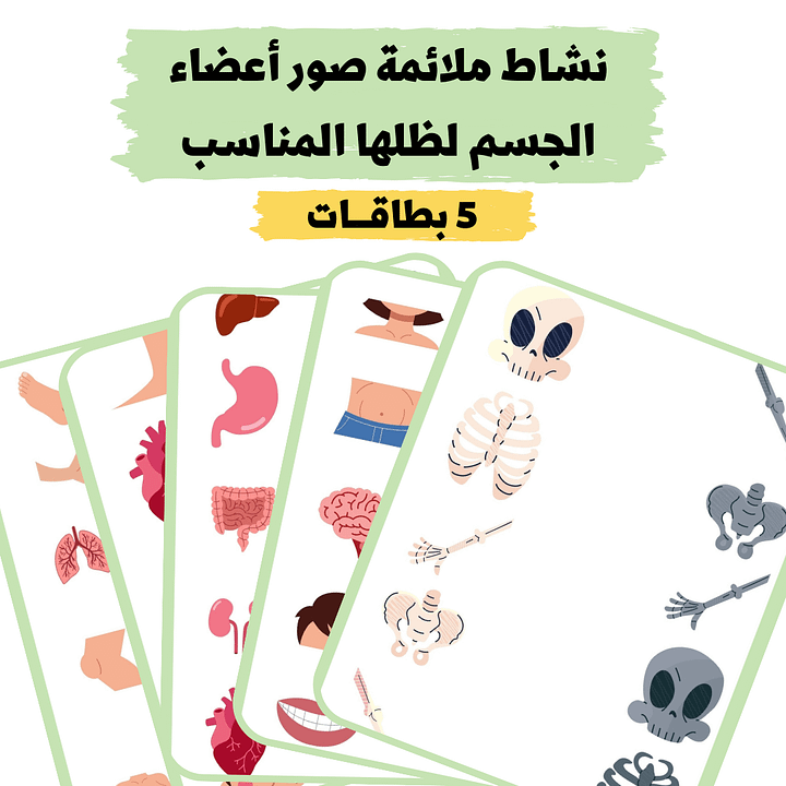 نشاط ملائمة صور أعضاء الجسم لظلها المناسب - pdf product image (2)