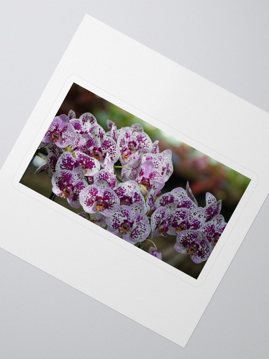 Orchid Splendor Kiss Cut Stickers product image (2)
