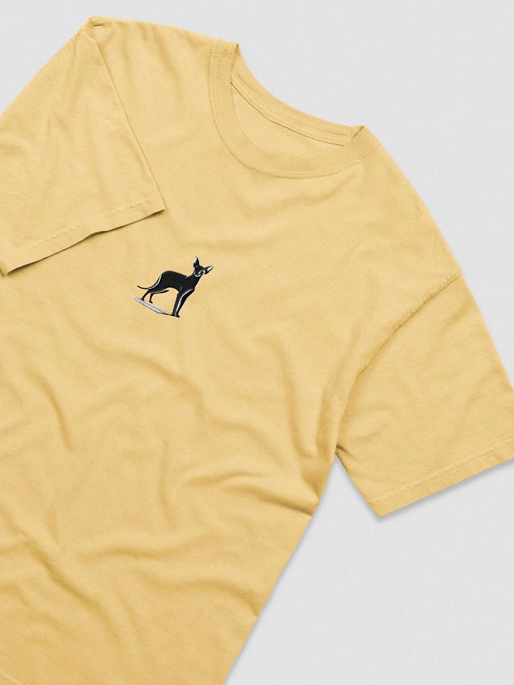 Comfort Colors Garment-Dyed Heavyweight T-Shirt: Abyssinian product image (1)