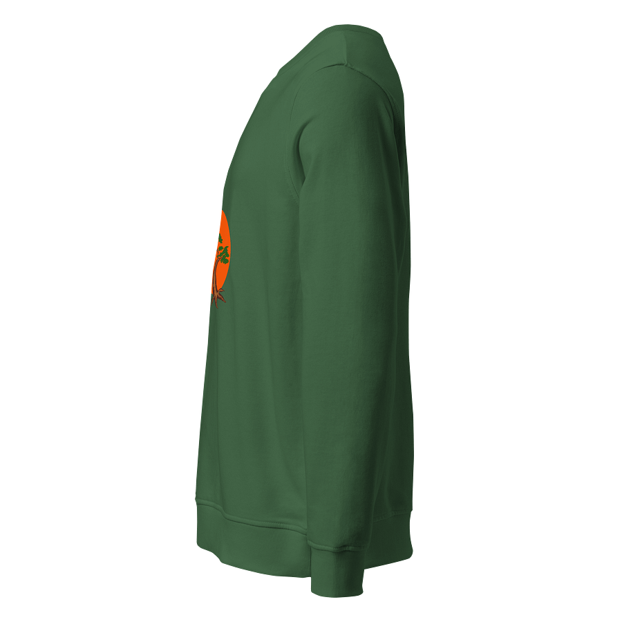 Nature's Embrace Organic Sweatshirt product image (3)
