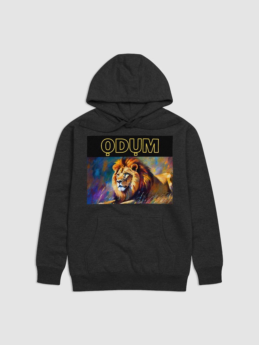 ỌDỤM Art Unisex Hoodie product image (1)