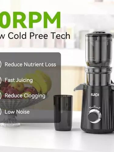 Fit Whole Fruit and Vegetable Slow Masticating Juicer Machines product image (2)