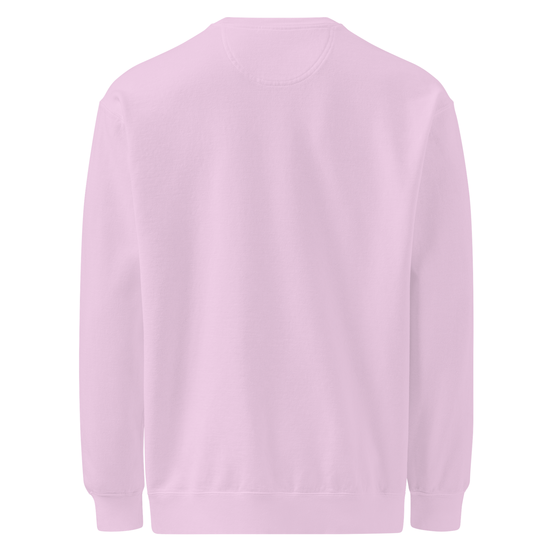 Bubbly and a B (violet shadow design) comfort crew product image (2)