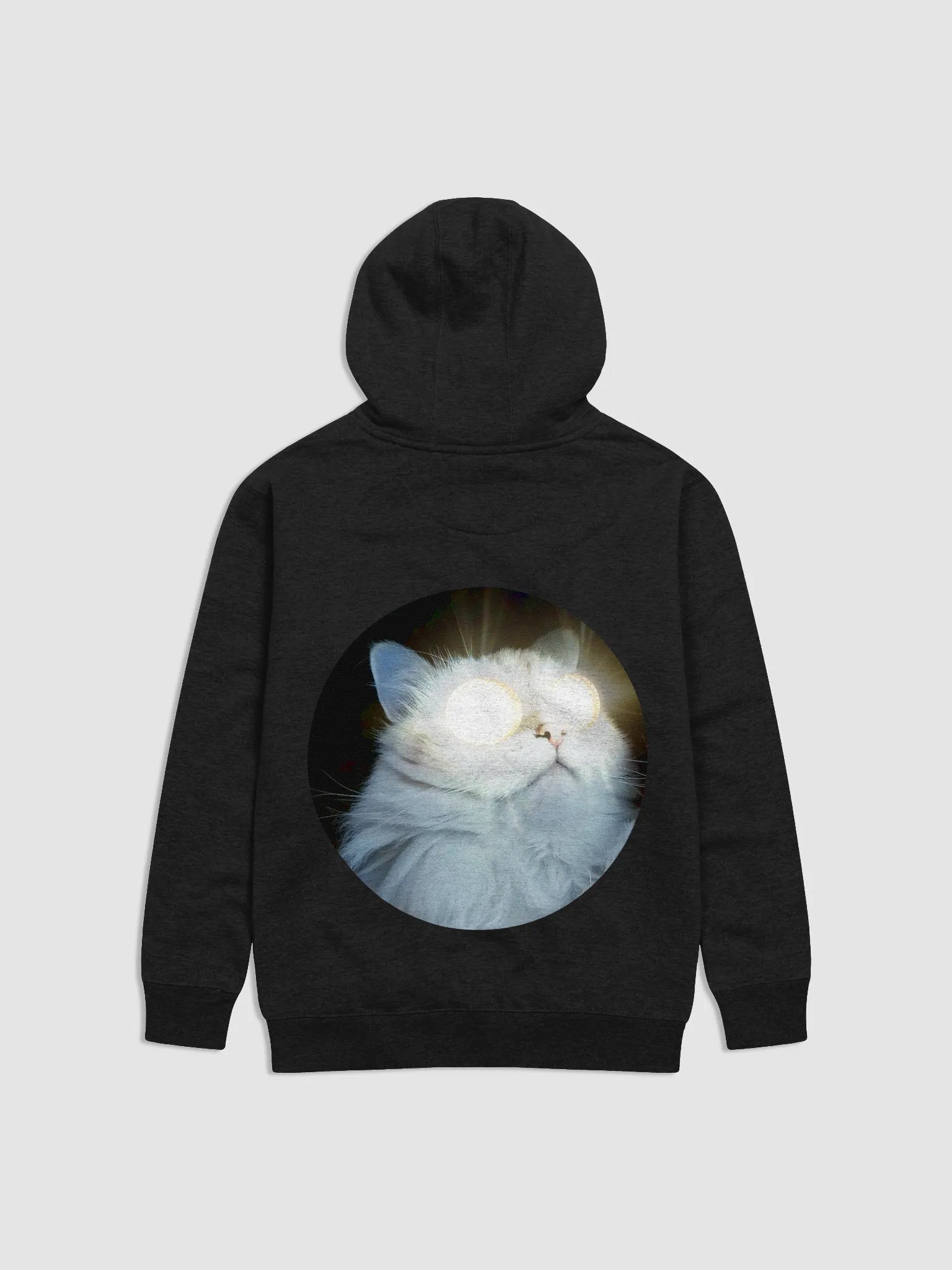 Hoodie product image (2)