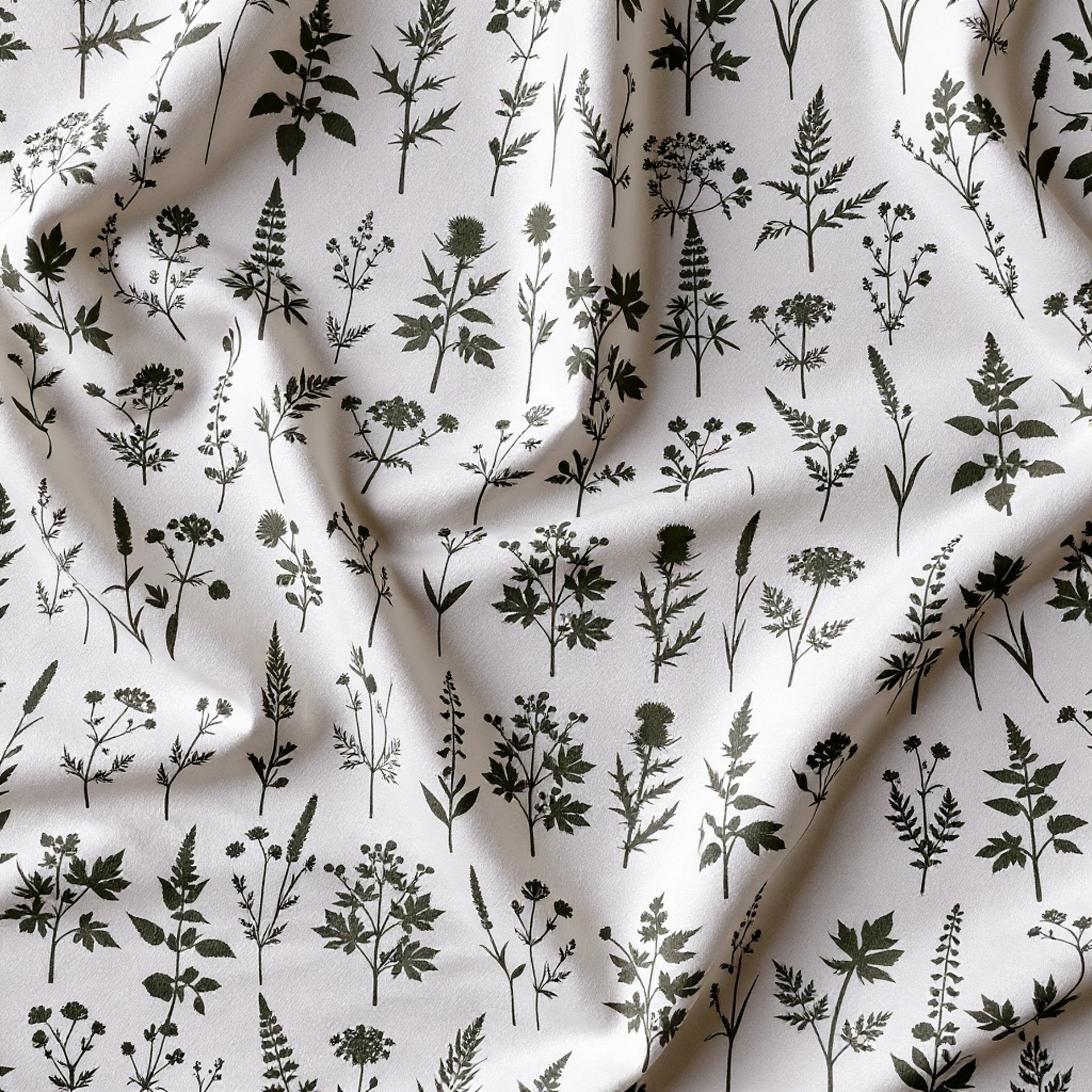 Wetland Botanical Flowers and Leaves Silhouettes product image (11)