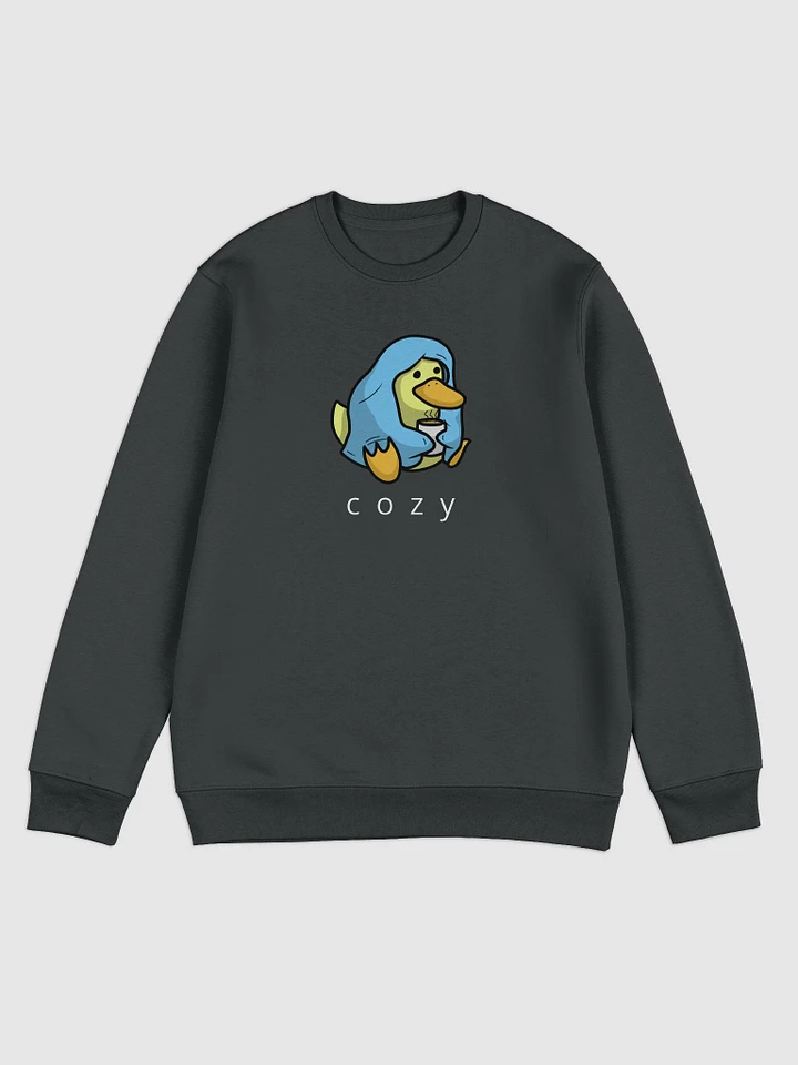 Cozy Danny Eco Sweatshirt product image (1)