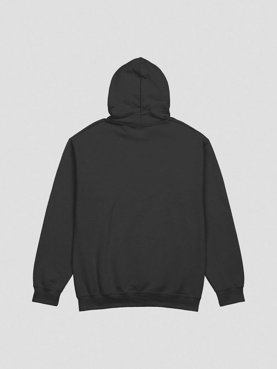 LK Bi The Way (I Like Puns) Hoodie product image (7)
