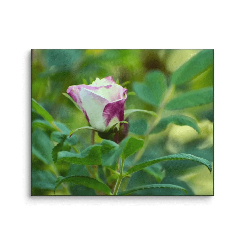 Canvas: One young delight product image (10)