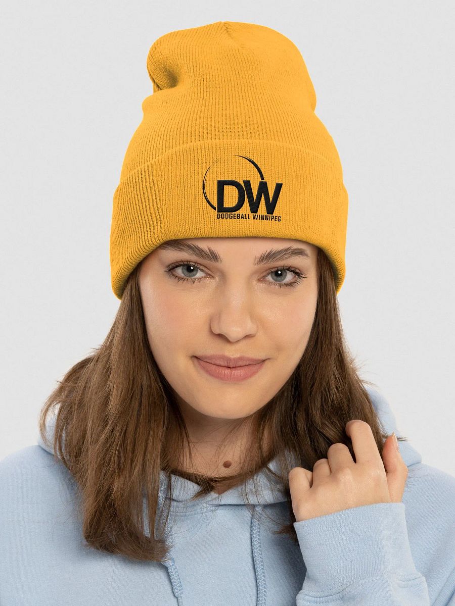 Dodgeball Winnipeg Toque (Dark) product image (8)