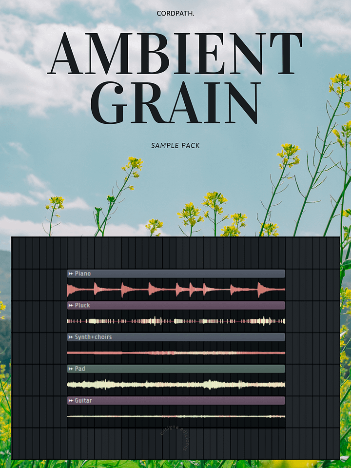 Ambient Grain Sample Pack product image (1)