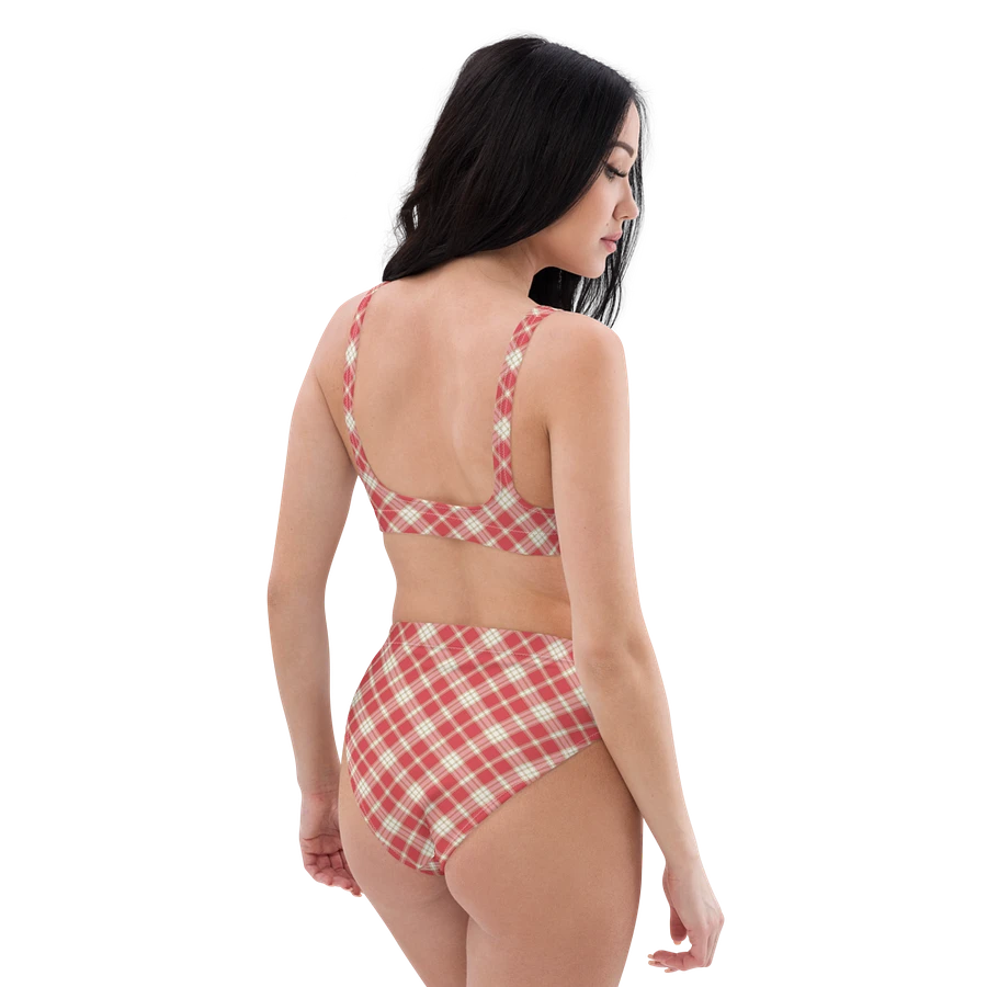 Coral Pink Plaid Bikini product image (6)