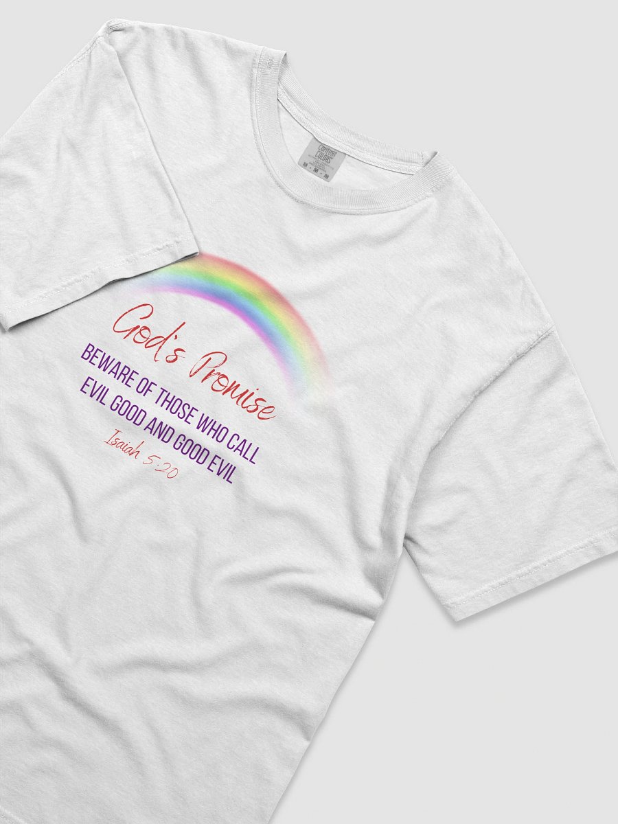 God's Rainbow Heavyweight T-Shirt product image (5)