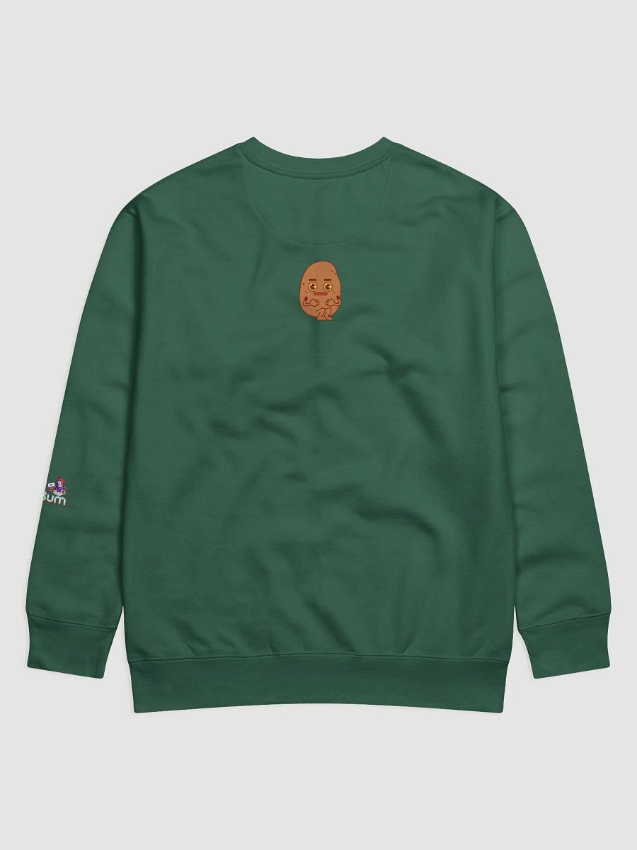 NEURODIVERGENT premium sweatshirt product image (10)