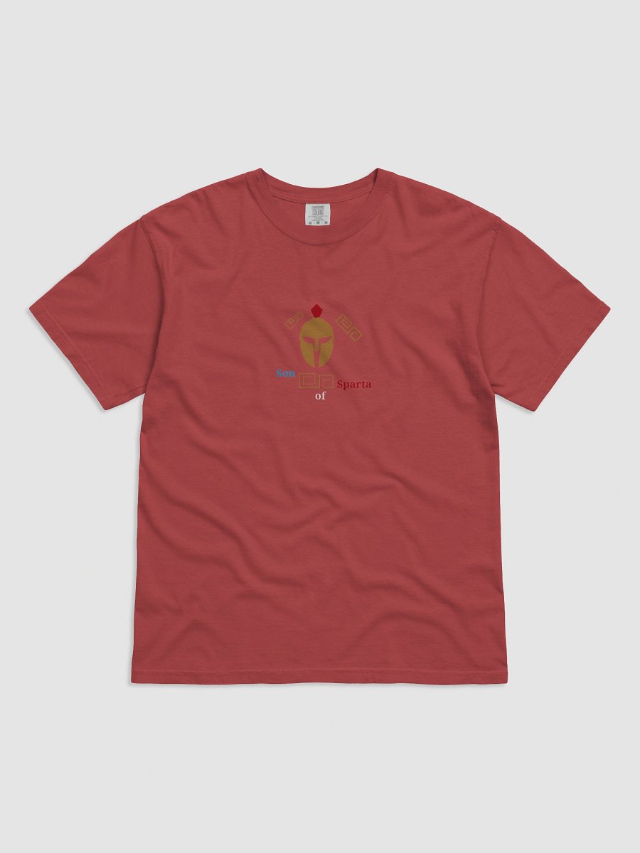 Spartan Spirit Heavyweight Tee product image (1)