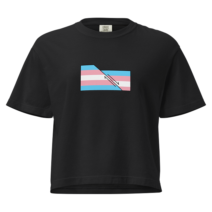 Faulted Pride Flags- Transgender Shirt product image (1)