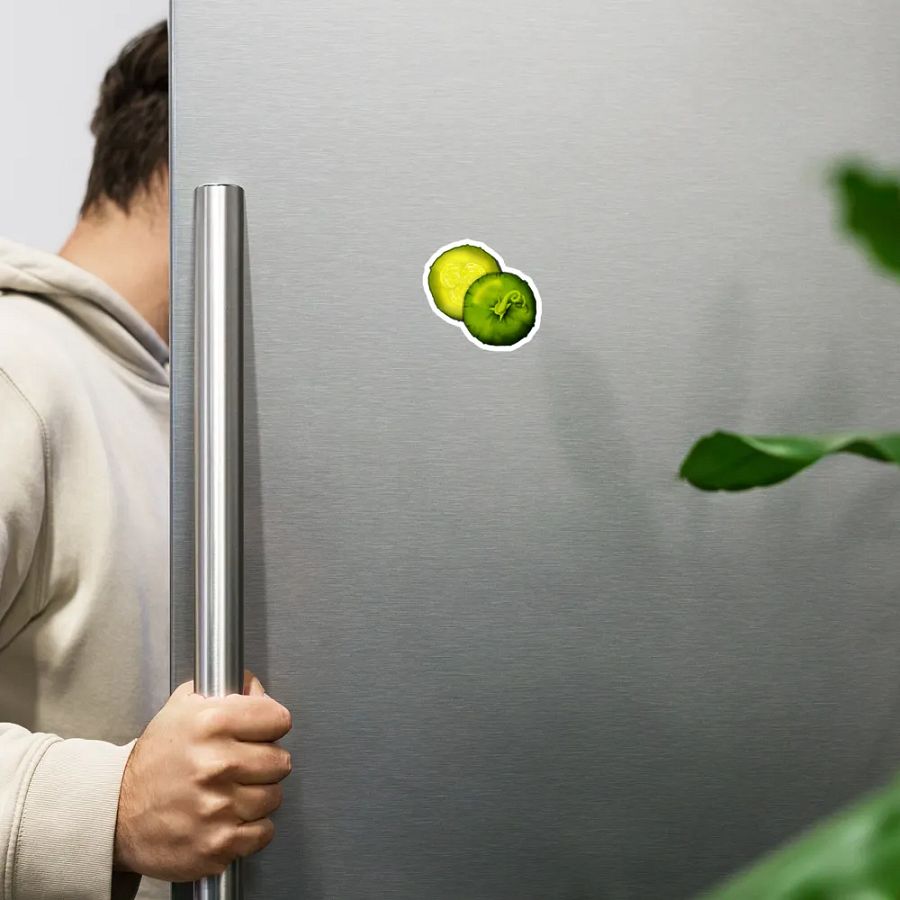 Pickles Magnet product image (8)
