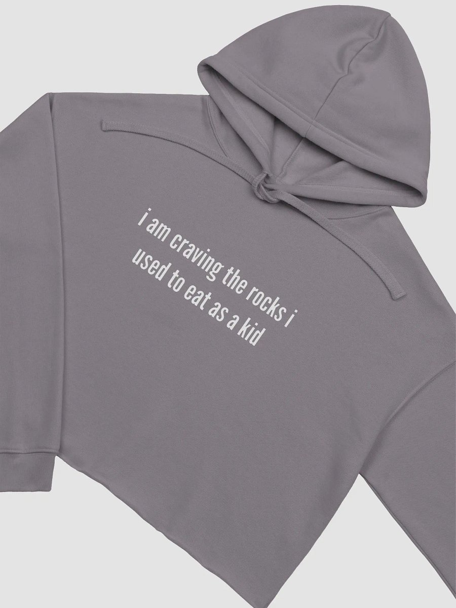 I am craving the rocks I used to eat fleece crop hoodie product image (4)