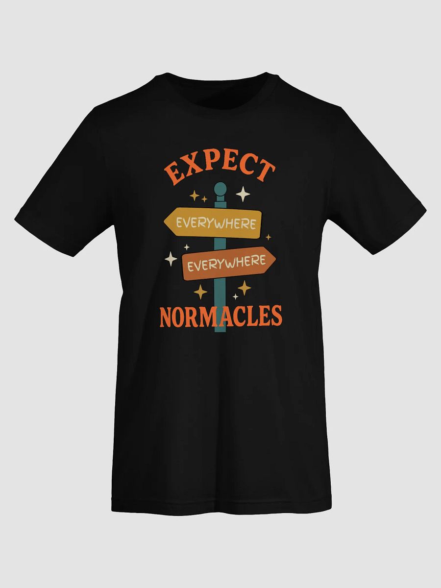 Expect Normacles Everywhere Tee product image (5)