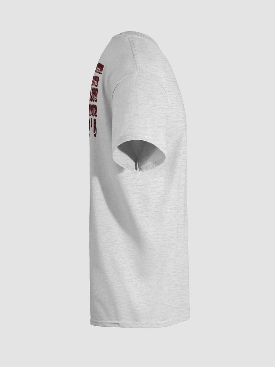 Dynamic Duo Tour | Official T product image (12)