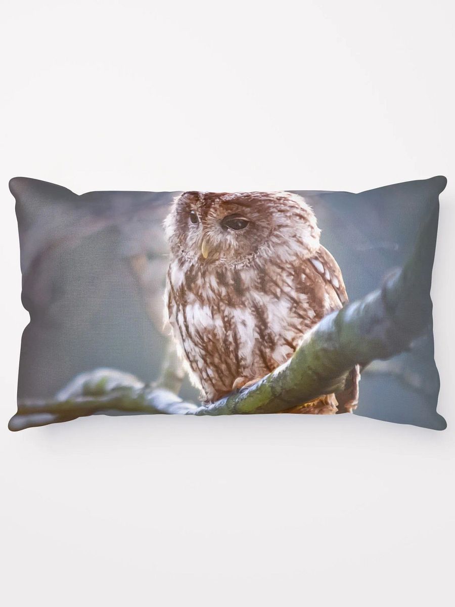 Brown Owl product image (14)