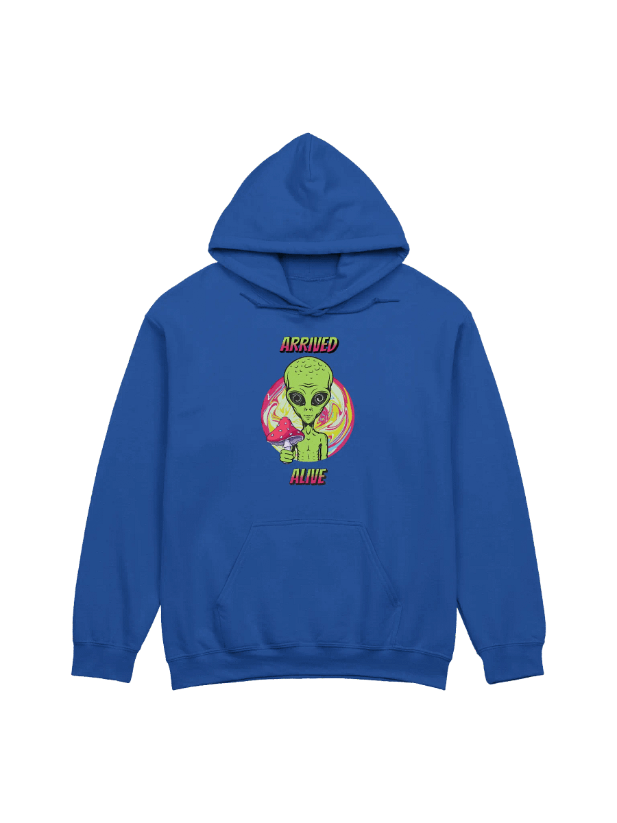 ARRIVED ALIVE ALIEN HOODIE product image (1)