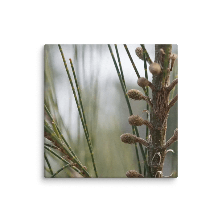 Plant Canvas product image (1)