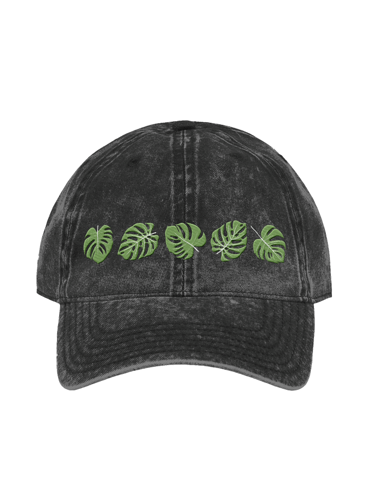 Monstera Dad Hat product image (1)