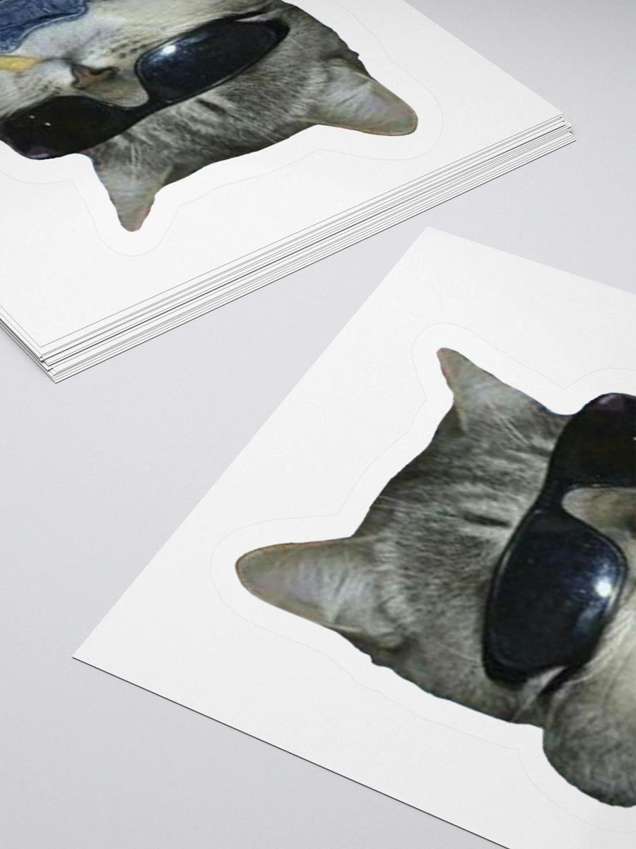Cool Cat Sticker product image (11)