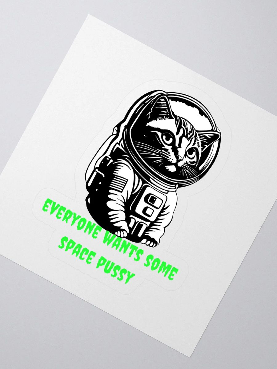 SPACE PUSSY STICKER product image (8)