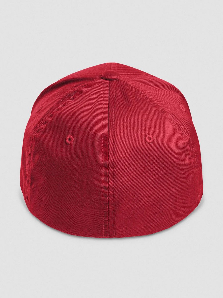 Make America Cap product image (4)