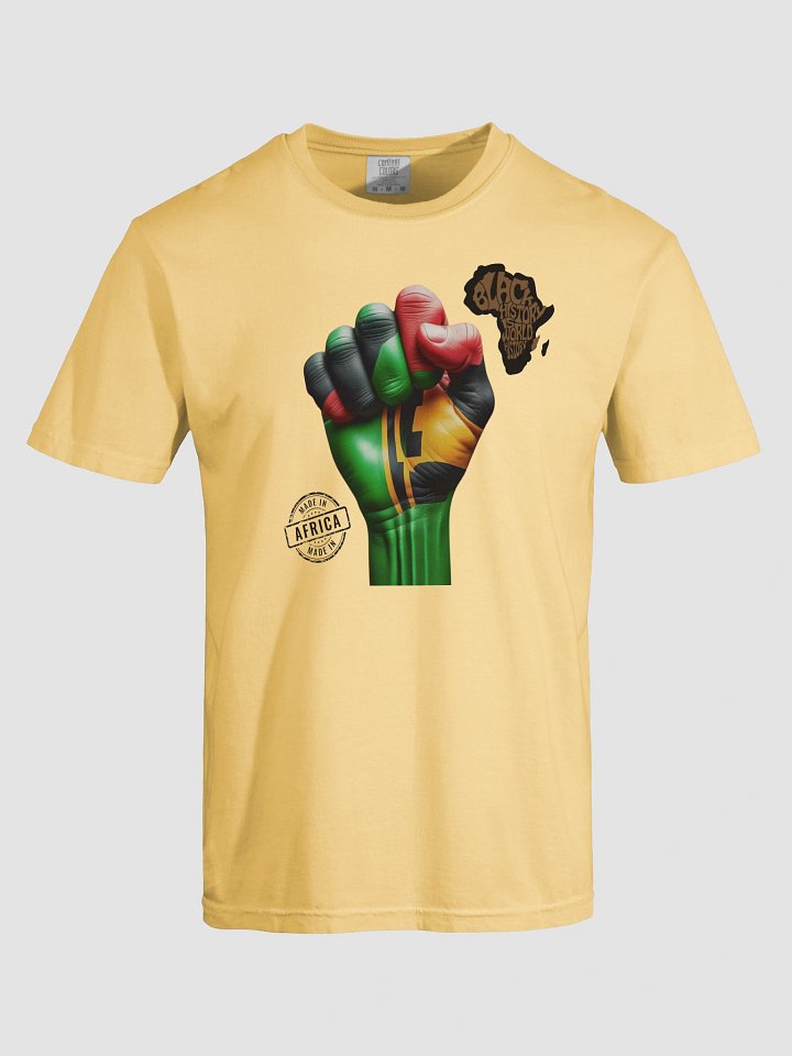 Black History is World History product image (1)