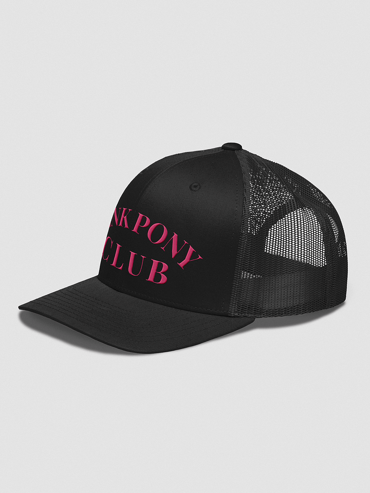 Pink Pony Club Hat. product image (10)
