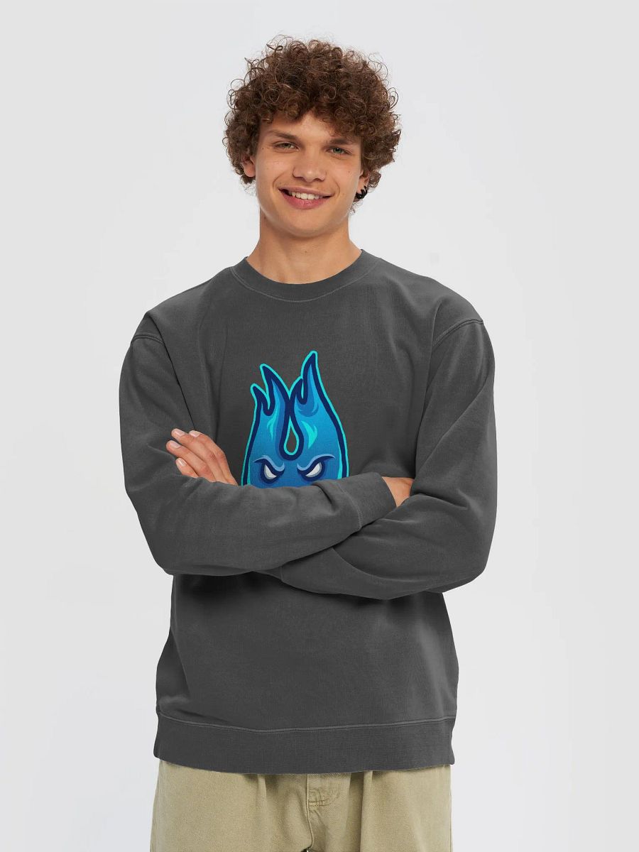 Pullover Sweatshirt product image (10)