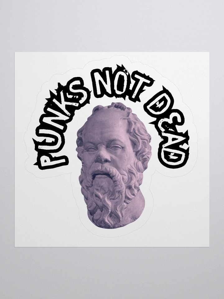 PUNKS NOT DEAD product image (3)