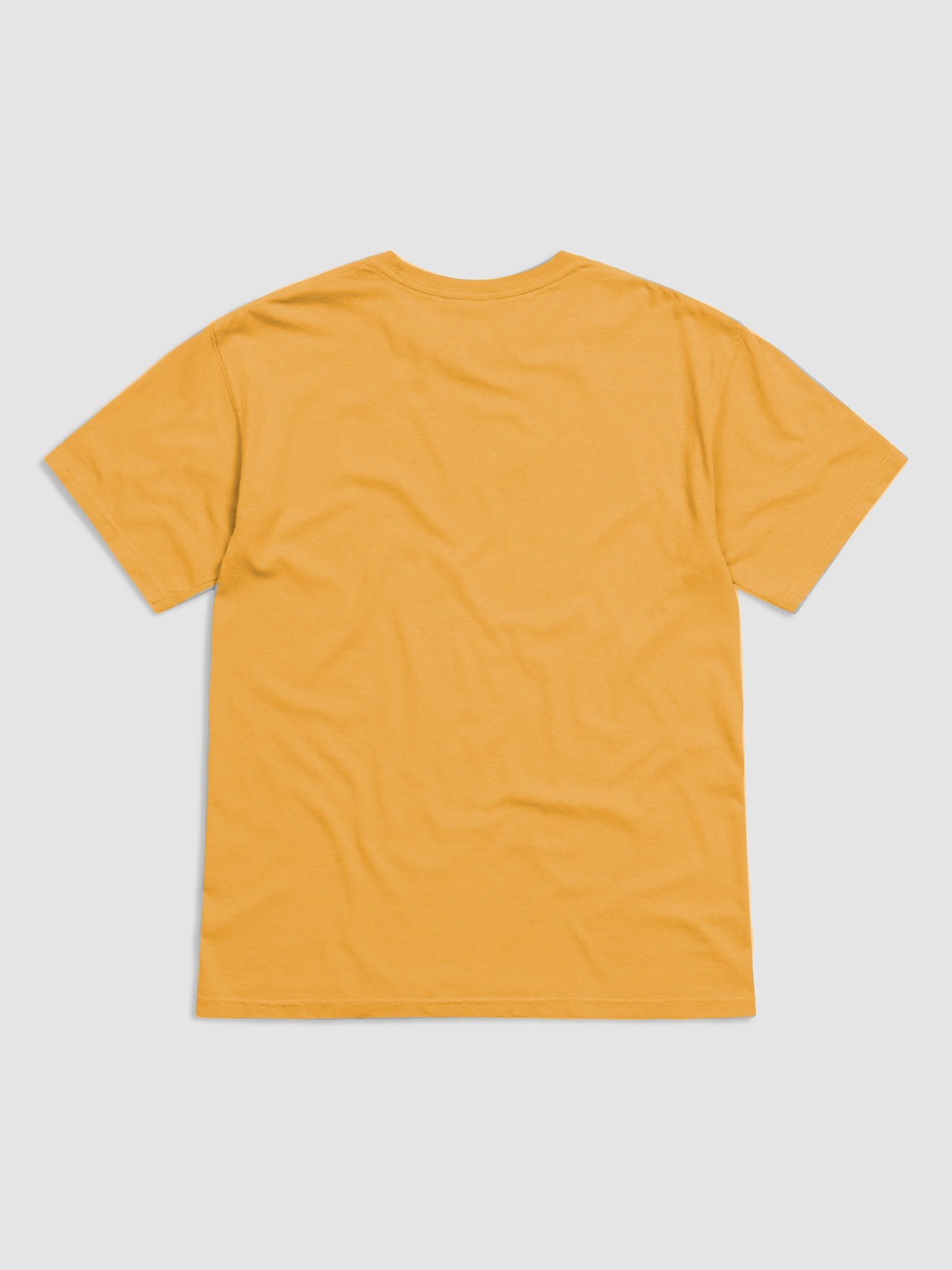 Pitmaster Paradise T-Shirt product image (2)
