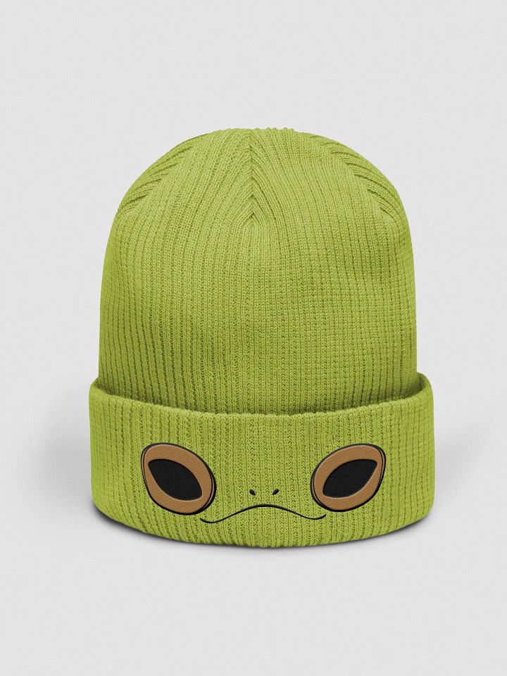 Sir Toadsworth Beanie product image (1)