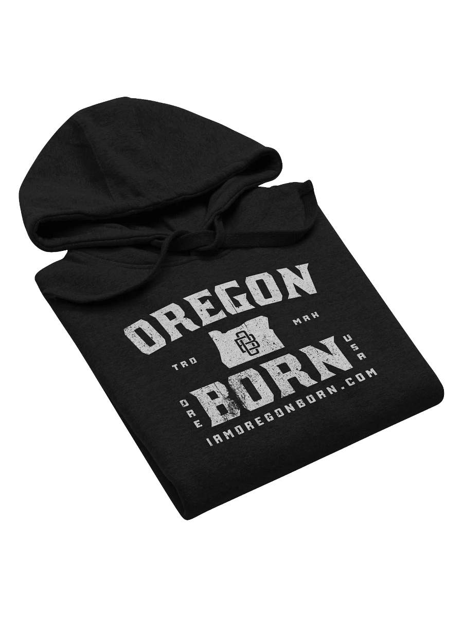 Oregon Born Vintage Collegiate - Hoodie product image (5)