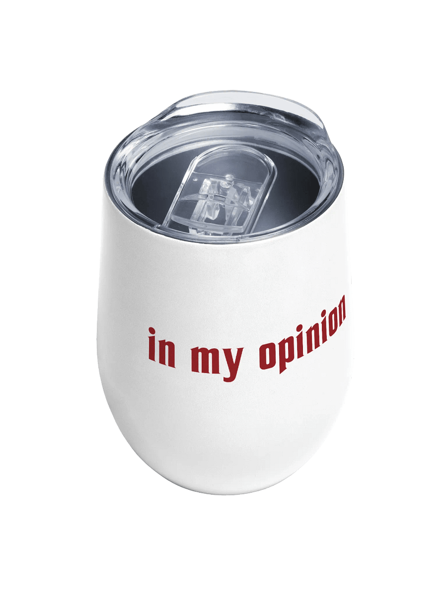 "in my opinion" wine tumbler product image (4)