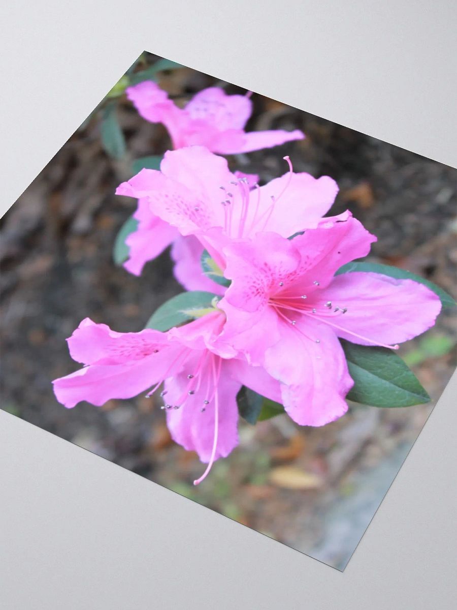A Study in Flowers 1 - Sticker product image (9)