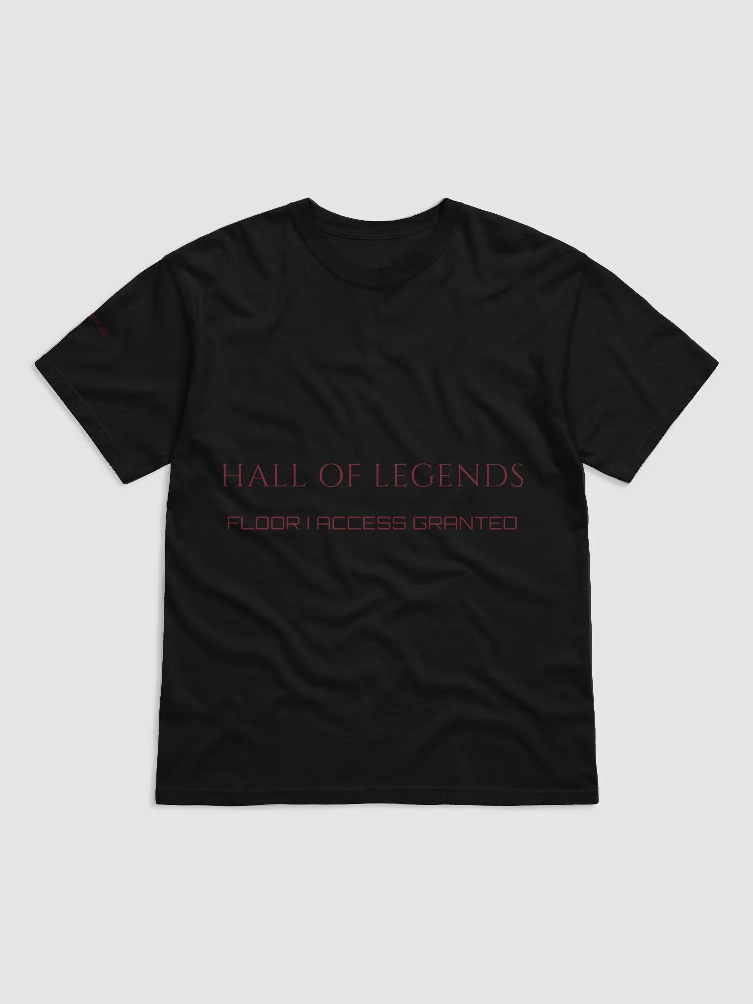 HALL OF LEGENDS: FLOOR I ACCESS product image (1)